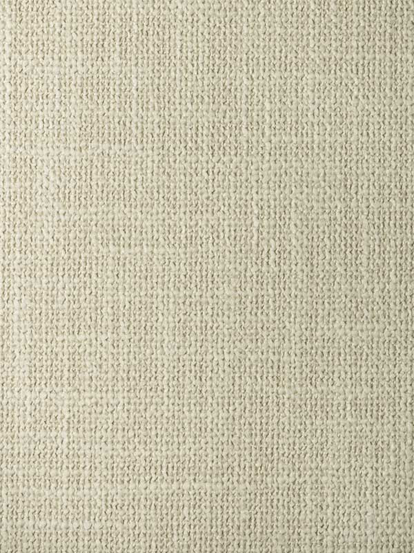 Narrett fabric in alpaca color - pattern number WFT1641.WT.0 - by Winfield Thybony in the Natural Textiles collection