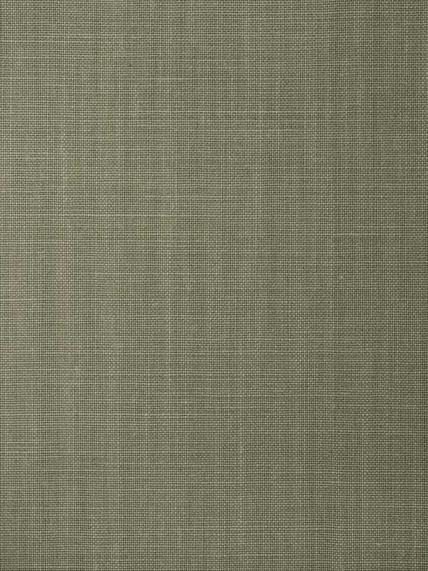 Balen fabric in olivene color - pattern number WFT1682.WT.0 - by Winfield Thybony in the Natural Textiles collection