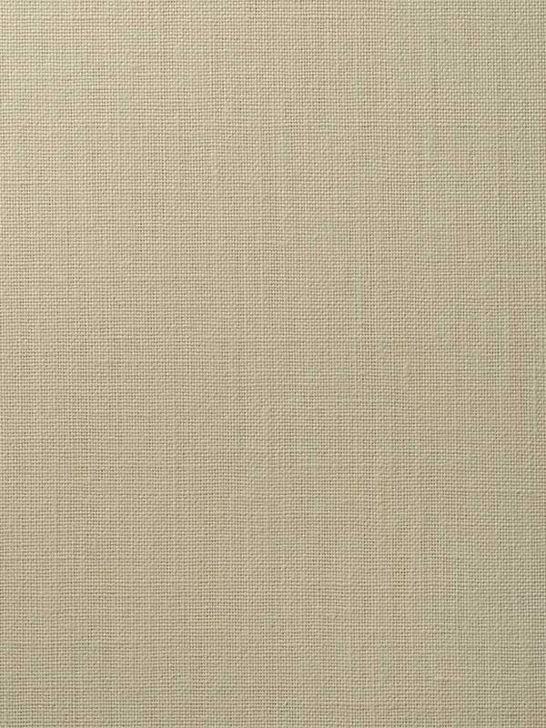 Upton wallpaper in sesame color - pattern number WFT1739.WT.0 - by Winfield Thybony in the Natural Textiles collection