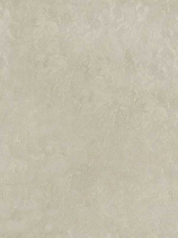 Francesca Texture fabric in taupe color - pattern number 4058-21736 - by Brewster in the Italian Silk collection