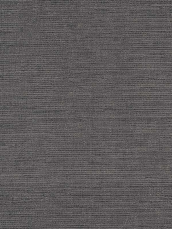 Koto Distressed Texture fabric in black color - pattern number 2984-2210 - by Warner in the Warner XI Naturals and Grasscloths collection