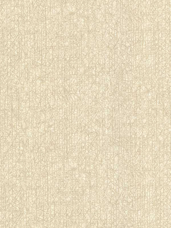 Nagano Distressed Texture fabric in taupe color - pattern number 2984-2212 - by Warner in the Warner XI Naturals and Grasscloths collection
