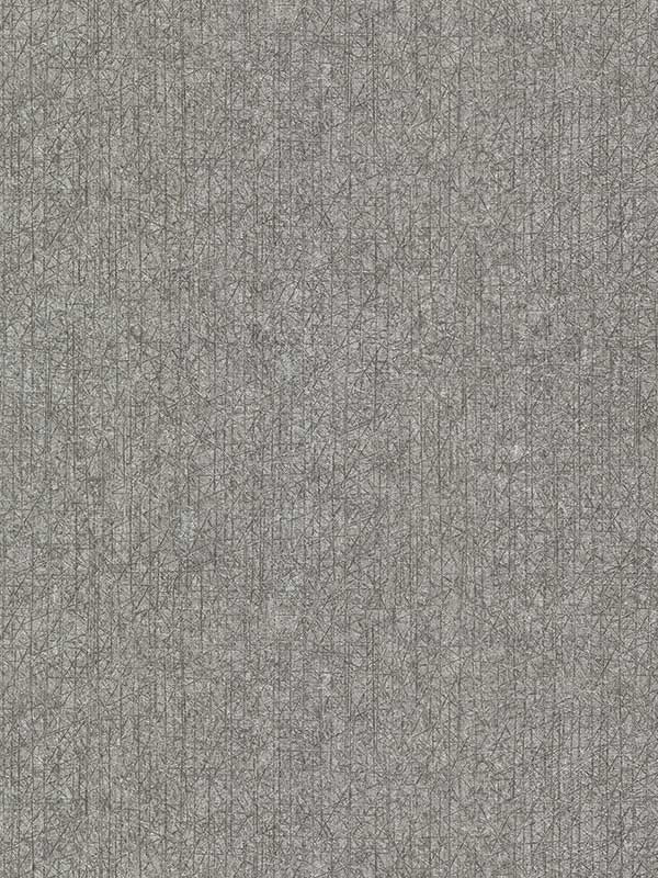 Nagano Distressed Texture fabric in silver color - pattern number 2984-2214 - by Warner in the Warner XI Naturals and Grasscloths collection