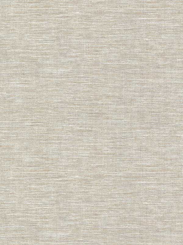 Cogon Distressed Texture fabric in taupe color - pattern number 2984-2217 - by Warner in the Warner XI Naturals and Grasscloths collection