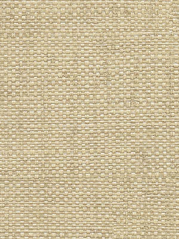 Caviar Basketweave wallpaper in taupe color - pattern number 2984-8046 - by Warner in the Warner XI Naturals and Grasscloths collection