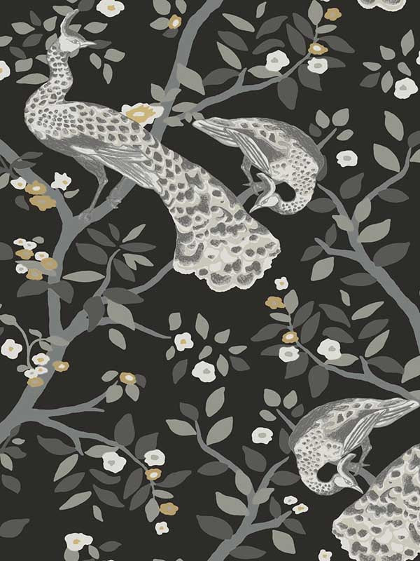 Plume fabric in black and gold color - pattern number BW3802 - by York in the Black and White Resource Library collection