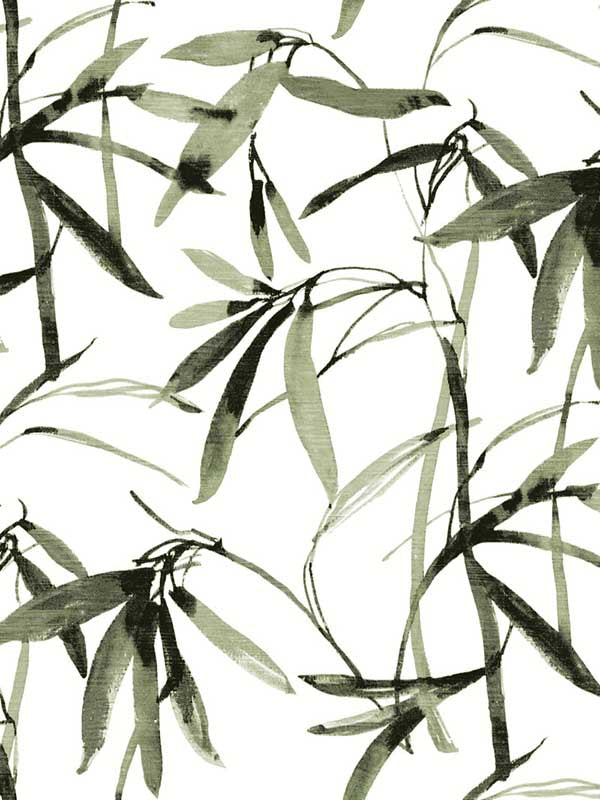 Bamboo Ink fabric in green and black color - pattern number BW3842 - by York in the Black and White Resource Library collection