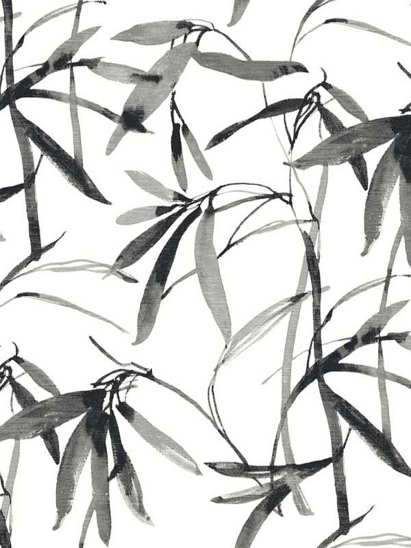 Bamboo Ink fabric in black and white color - pattern number BW3843 - by York in the Black and White Resource Library collection