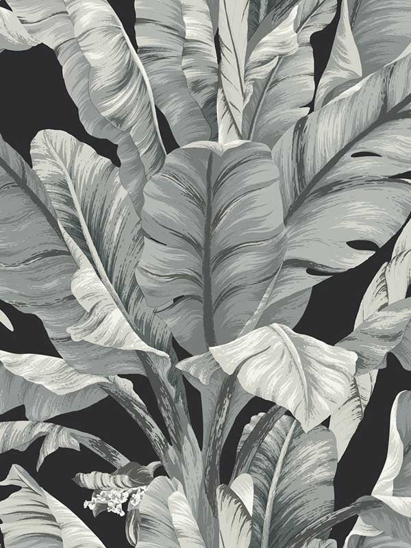 Banana Leaf fabric in black and white color - pattern number BW3971 - by York in the Black and White Resource Library collection
