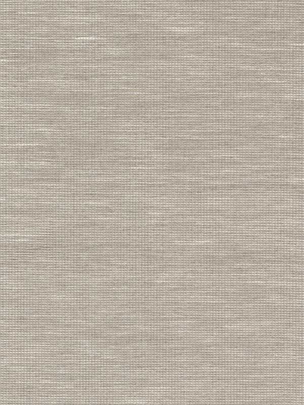 Paper and Thread Weave fabric in cream color - pattern number BO6611 - by Antonina Vella in the Boho Luxe collection