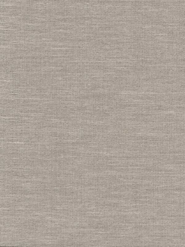 Paper and Thread Weave fabric in beige color - pattern number BO6612 - by Antonina Vella in the Boho Luxe collection