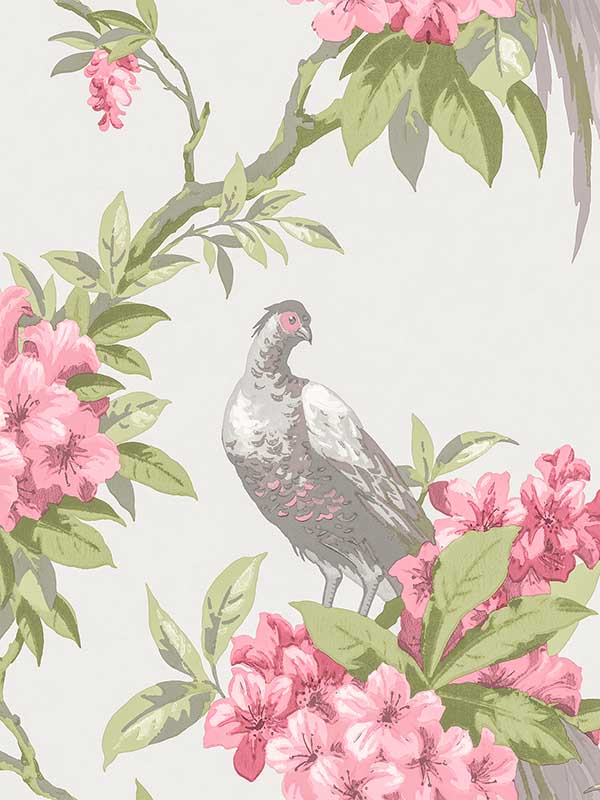 en Pheasant Floral fabric in rose color - pattern number M1664 - by Brewster in the Archive Collection collection