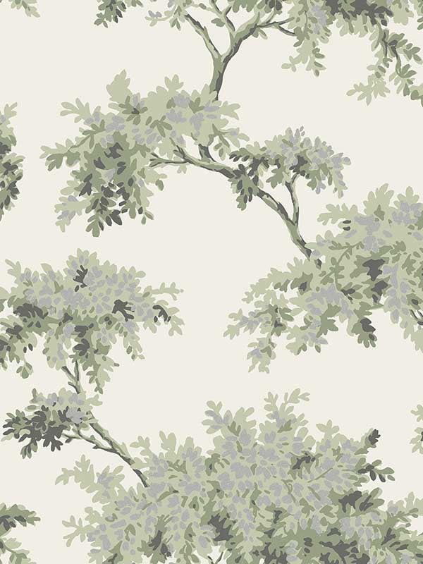 Ashdown Tree fabric in sage color - pattern number M1674 - by Brewster in the Archive Collection collection