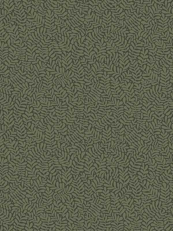 Anna Fern Trail wallpaper in dark green color - pattern number 2999-55000 - by A Street Prints in the Annelie collection