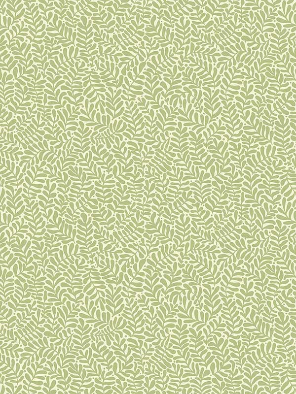 Anna Fern Trail wallpaper in light green color - pattern number 2999-55001 - by A Street Prints in the Annelie collection