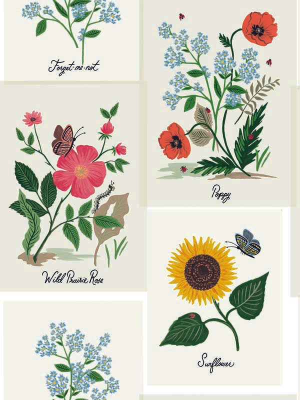 Botanical Prints fabric in white and pink color - pattern number RP7334 - by Rifle Paper Co in the Rifle Paper Co Second Edition collection