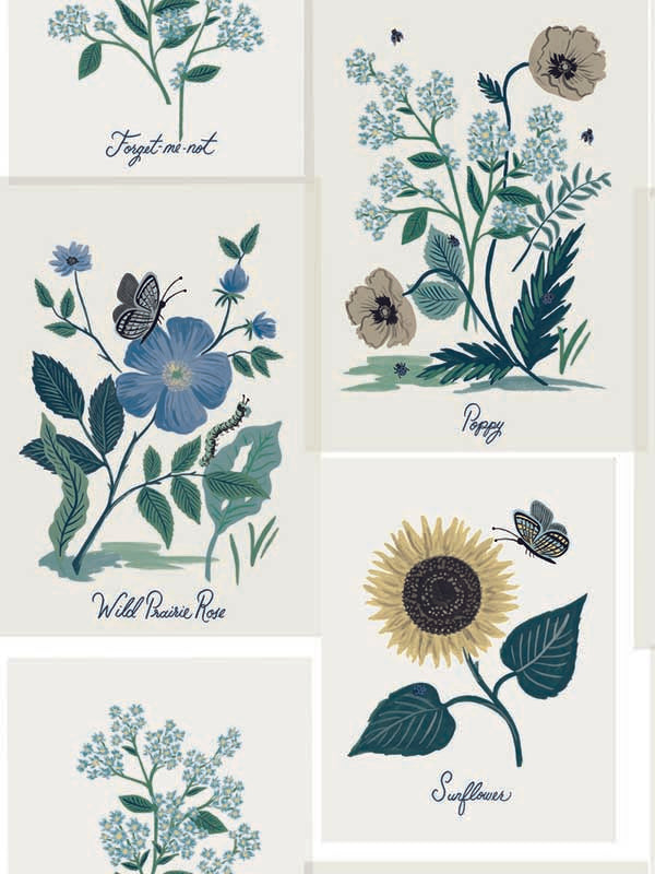 Botanical Prints fabric in white and blue color - pattern number RP7335 - by Rifle Paper Co in the Rifle Paper Co Second Edition collection