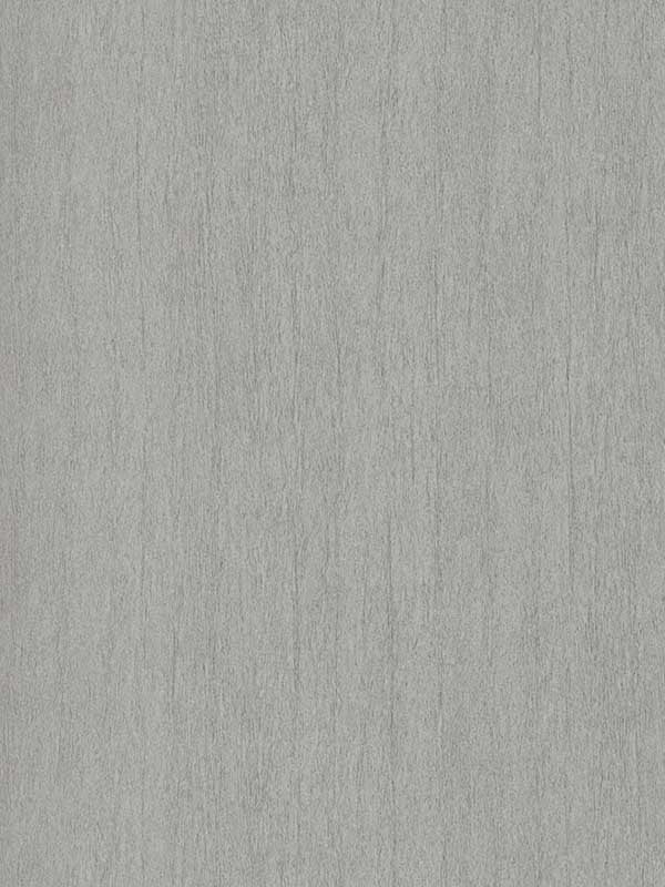 Natural Texture fabric in grey color - pattern number DD3722 - by Antonina Vella in the Dazzling Dimensions Volume II collection