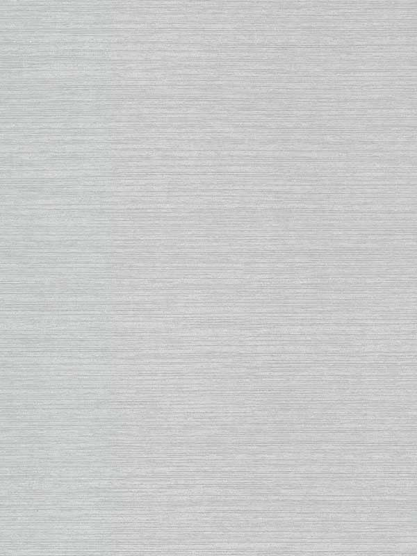 Shining Sisal Grasscloth fabric in silver metallic color - pattern number DD3731 - by Antonina Vella in the Dazzling Dimensions Volume II collection