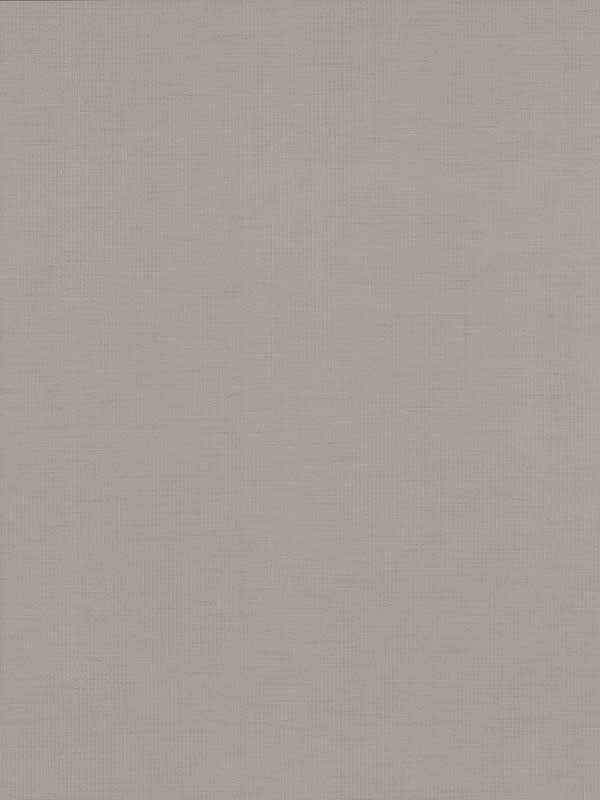 Gossamer Woven fabric in taupe color - pattern number DD3773 - by Antonina Vella in the Dazzling Dimensions Volume II collection