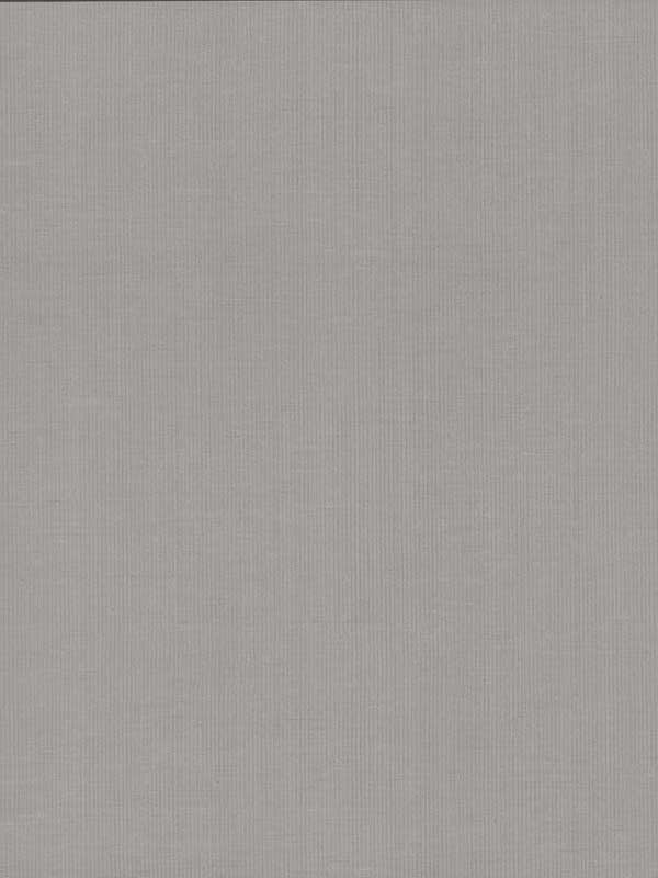 Gossamer Woven fabric in silver and grey color - pattern number DD3774 - by Antonina Vella in the Dazzling Dimensions Volume II collection