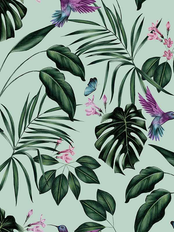 Hummingbird wallpaper in mint color - pattern number WLD53115W - by OhPopsi in the Wild collection
