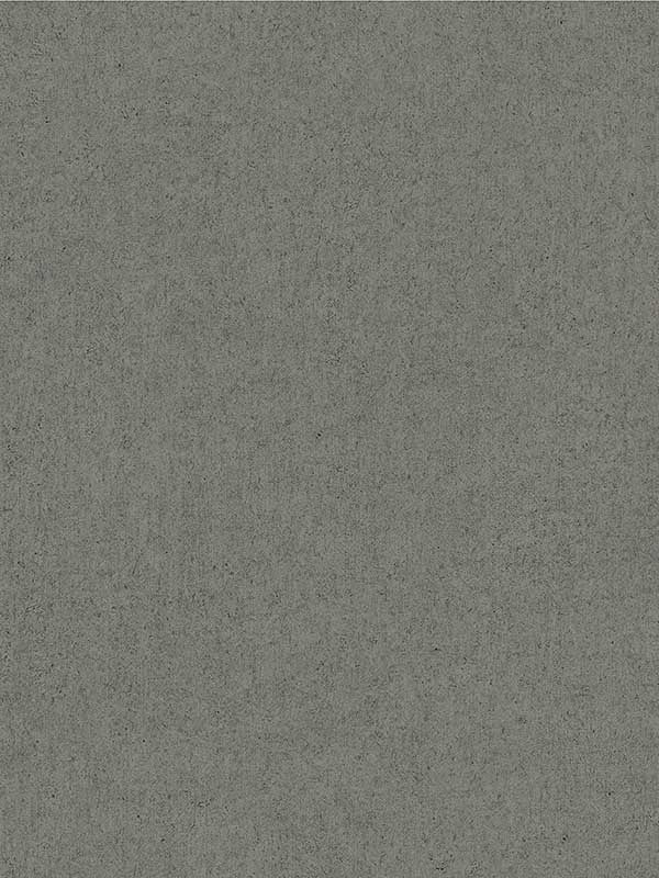 Colter Texture fabric in grey color - pattern number 4041-35609 - by Advantage in the Passport collection