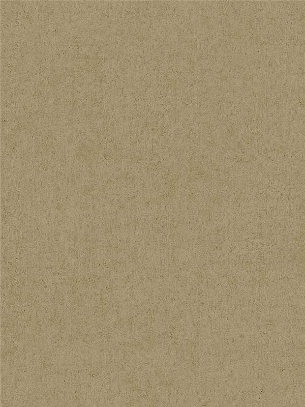 Colter Texture fabric in light brown color - pattern number 4041-35617 - by Advantage in the Passport collection