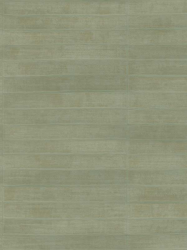 Dermot Horizontal Stripe fabric in light green color - pattern number 4041-418484 - by Advantage in the Passport collection