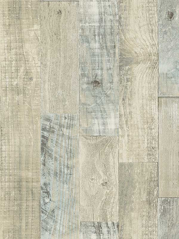 Chebacco Wood Planks fabric in taupe color - pattern number 3124-12692 - by Chesapeake in the Thoreau collection