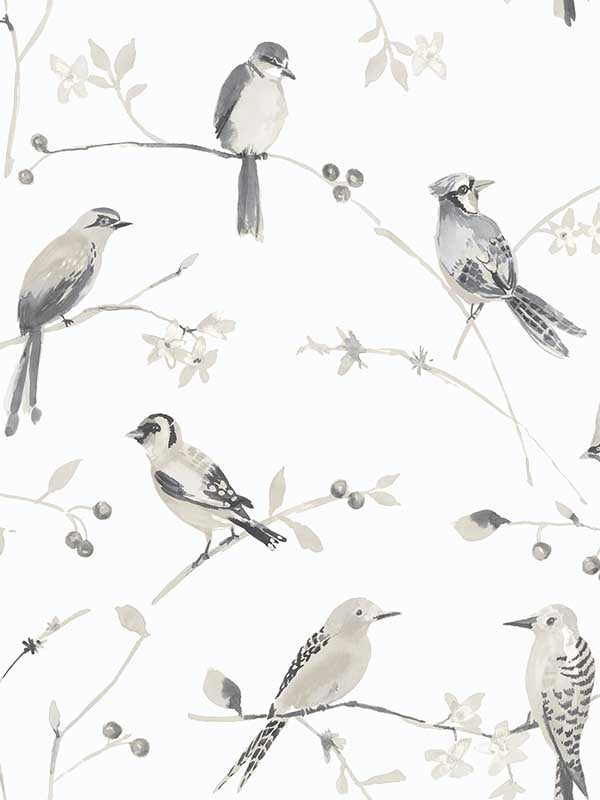 Birdsong Trail fabric in grey color - pattern number 3124-13853 - by Chesapeake in the Thoreau collection