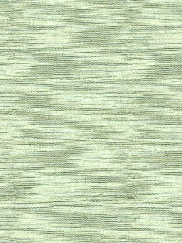Agave Faux Grasscloth wallpaper in green color - pattern number 3124-24284 - by Chesapeake in the Thoreau collection