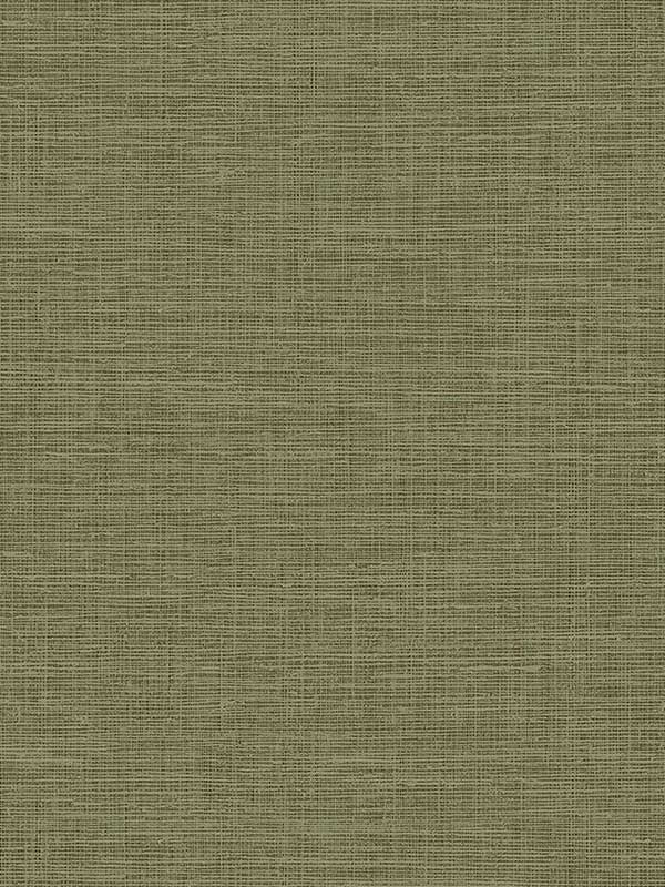 Weave fabric in pear tree color - pattern number JT30301 - by Wallquest in the Studio Textures collection