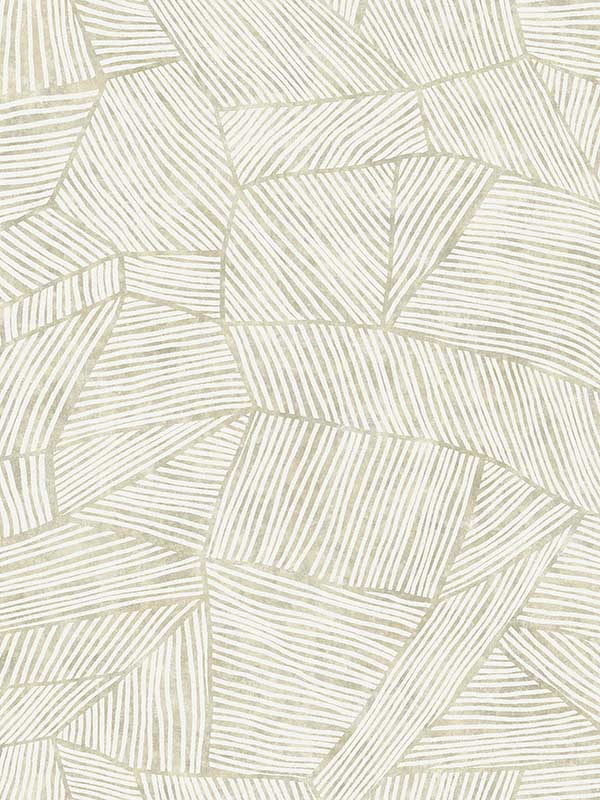 Aldabra Textured Geometric fabric in taupe color - pattern number 4014-26400 - by A Street Prints in the Seychelles collection