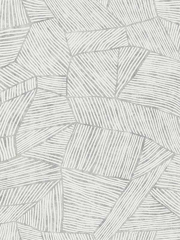 Aldabra Textured Geometric fabric in grey color - pattern number 4014-26402 - by A Street Prints in the Seychelles collection