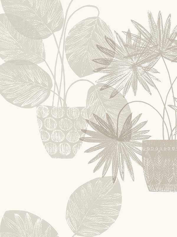 Aida Potted Plant fabric in light grey color - pattern number 4014-87555 - by A Street Prints in the Seychelles collection