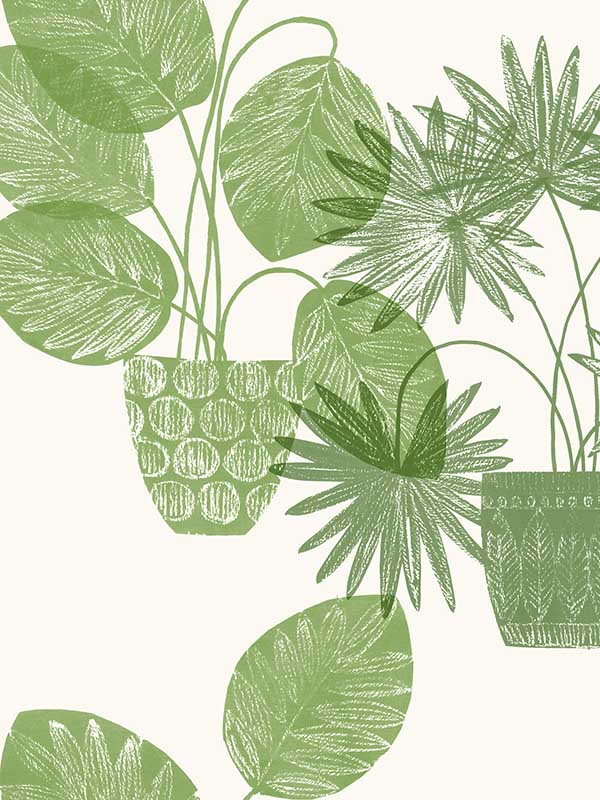 Aida Potted Plant fabric in green color - pattern number 4014-87558 - by A Street Prints in the Seychelles collection