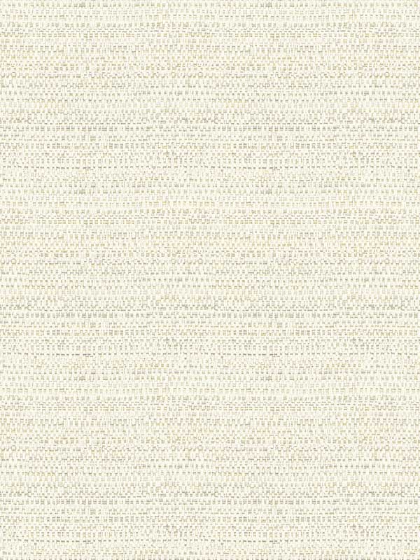 Balantine Weave wallpaper in bone color - pattern number 4072-70054 - by Chesapeake in the Delphine collection