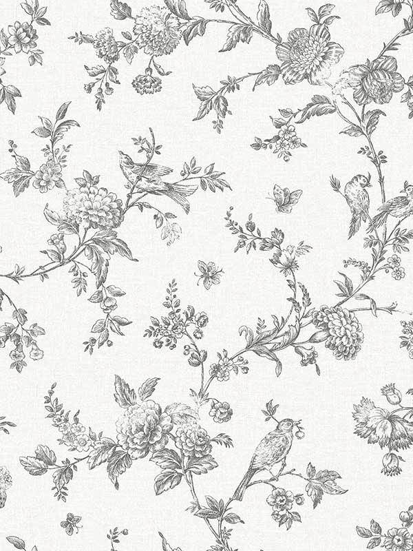 Nightingale Floral Trail wallpaper in charcoal color - pattern number 4072-70065 - by Chesapeake in the Delphine collection