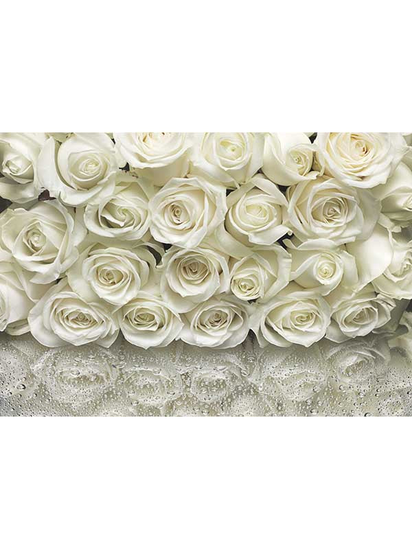 A la Rose 8 Panel fabric in off white color - pattern number 8-314 - by Brewster in the Komar Colours collection