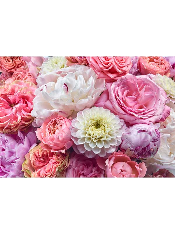 Vibrant Spring 8 Panel fabric in pink color - pattern number 8-335 - by Brewster in the Komar Colours collection