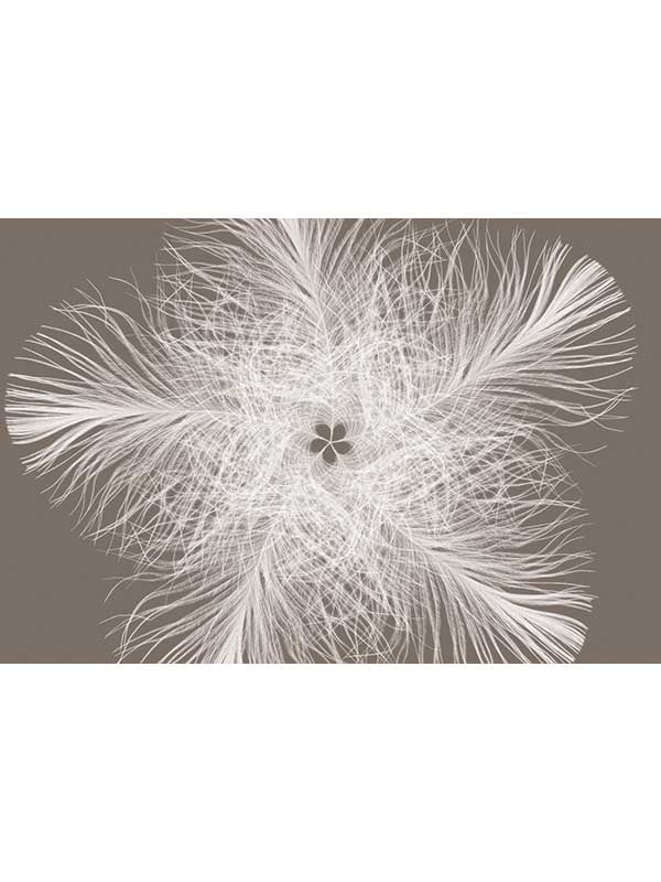 Federstern 4 Panel mural in neutral color - pattern number XXL4-006 - by Brewster in the Komar Colours collection