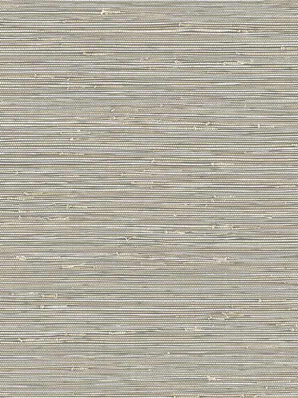 Banni fabric in charcoal weave color - pattern number GL20310 - by Wallquest in the Grasslands collection