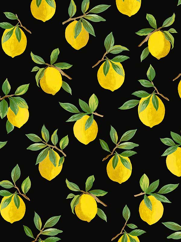 Lemoncello Peel and Stick fabric in black color - pattern number DB20400 - by NextWall in the Peel and Stick Wallpaper by Daisy Bennett collection