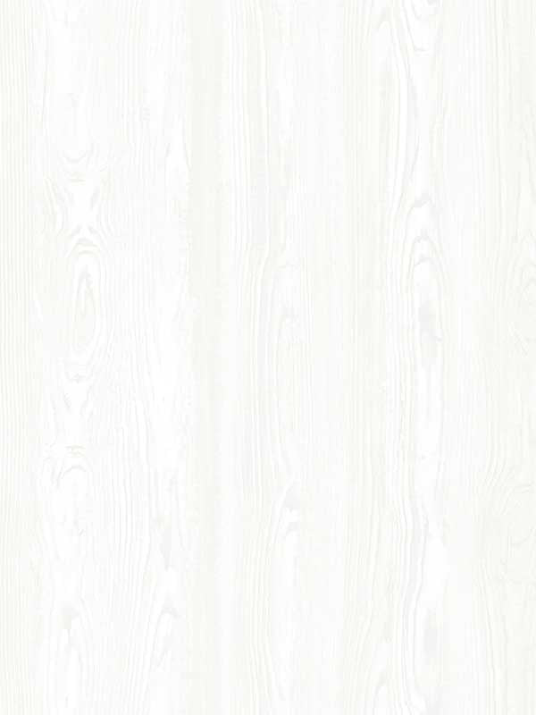 Elio Wood fabric in white color - pattern number 4060-138927 - by Chesapeake in the Fable collection