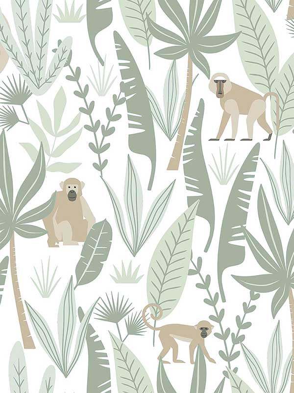 Kiki Monkeys wallpaper in light green color - pattern number 4060-139071 - by Chesapeake in the Fable collection