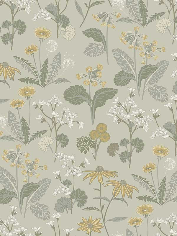 Magdalena Dandelion wallpaper in light green color - pattern number 4080-92134 - by A Street Prints in the Ingrid collection