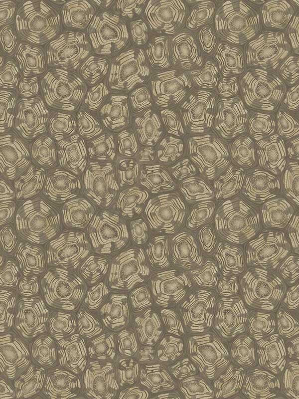 Savanna Shell fabric in gilver color - pattern number 119/4020.CS.0 - by Cole and Son in the Ardmore Jabula collection