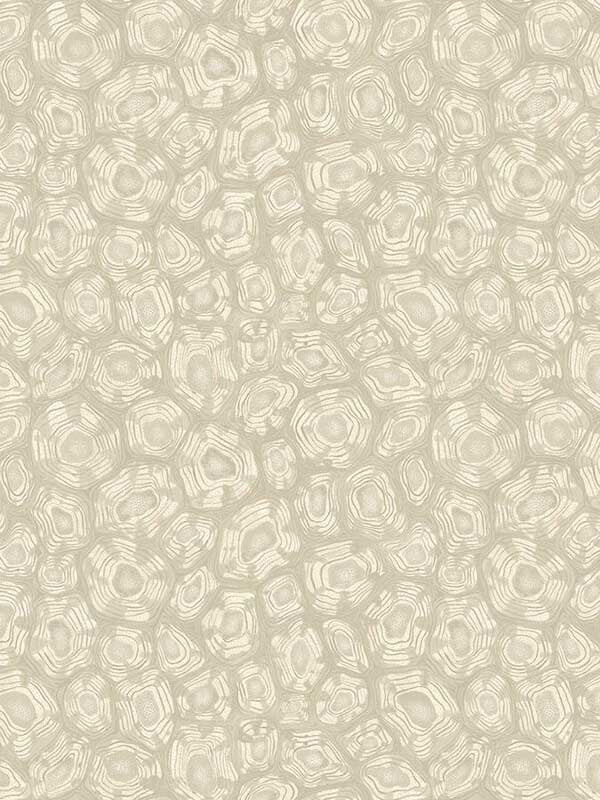 Savanna Shell fabric in parchment color - pattern number 119/4021.CS.0 - by Cole and Son in the Ardmore Jabula collection