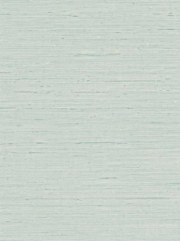 Seahaven Rushcloth fabric in seaglass color - pattern number TS80704 - by Seabrook in the Even More Textures collection